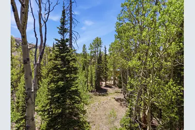 615 E Old Rd, Brian Head, UT 84719 - Photo 7