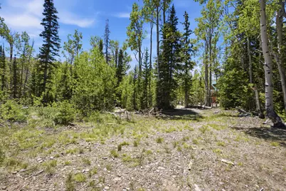 615 E Old Rd, Brian Head, UT 84719 - Photo 3