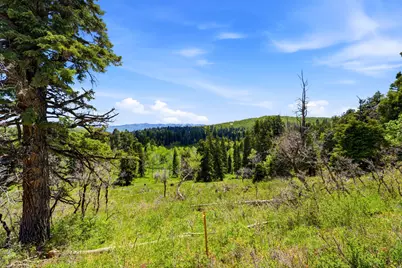 140 W Elk Rd #140, Wanship, UT 84017 - Photo 27