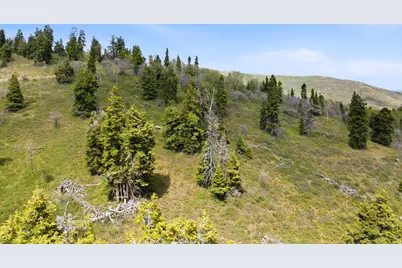 140 W Elk Rd #140, Wanship, UT 84017 - Photo 3
