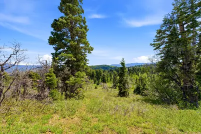 140 W Elk Rd #140, Wanship, UT 84017 - Photo 25
