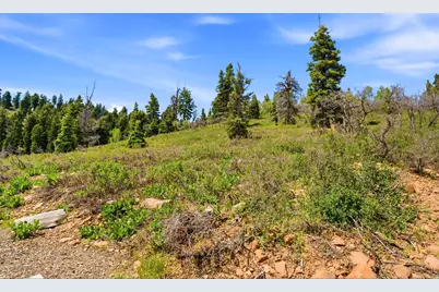 140 W Elk Rd #140, Wanship, UT 84017 - Photo 19