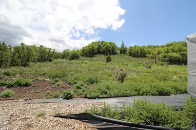 1629 S Cedar Hollow Ct #871, Heber City, UT 84032 - Photo 15