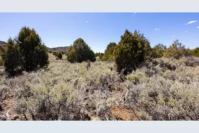 240 Acres, Glendale, UT 84729 - Photo 13