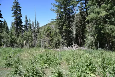 [Address not provided], Mount Pleasant, UT 84647 - Photo 15