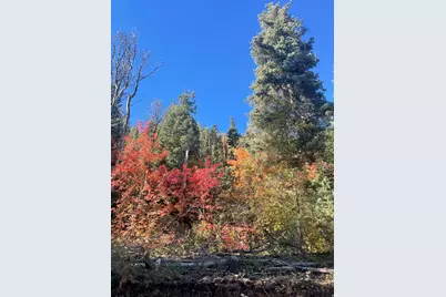 [Address not provided], Mount Pleasant, UT 84647 - Photo 11