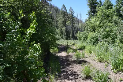 [Address not provided], Mount Pleasant, UT 84647 - Photo 43