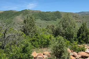 2924 N Water Cyn Ave, Huntsville, UT 84317 - Photo 33