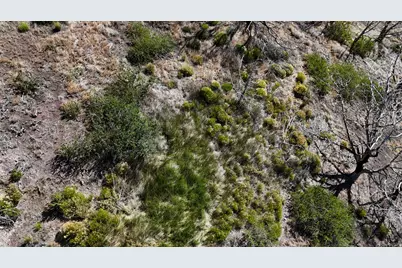 123 W Tbd Willow Spring Rd, Goshen, UT 84633 - Photo 5