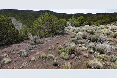 123 W Tbd Willow Spring Rd, Goshen, UT 84633 - Photo 29