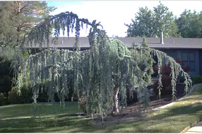 465 E Twin Cir S #LOT 3, Kaysville, UT 84037 - Photo 5