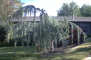 465 E Twin Cir S, Kaysville, UT 84037 - Photo 5