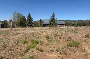 133 S Terry Pkwy, Pine Valley, UT 84781 - Photo 1
