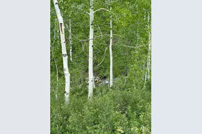 94 Hilltop Ln #94 &95, Fairview, UT 84629 - Photo 7
