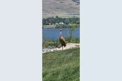 6226 E Hawks Ln, Huntsville, UT 84317 - Photo 45