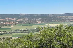 1039 Lewis Dr, Tabiona, UT 84072 - Photo 19