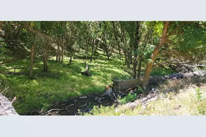 [Address not provided], Morgan, UT 84050 - Photo 1