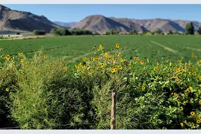 540 N 400 E, Elsinore, UT 84724 - Photo 23