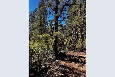 12 Block "C" St #8A-C12, Orderville, UT 84758 - Photo 3