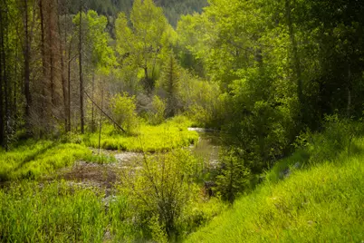 0 Rock Creek Rd, Duchesne, UT 84021 - Photo 9