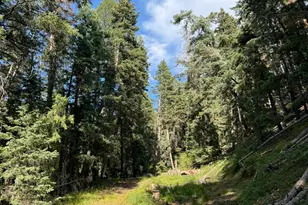 [Address not provided], Mount Pleasant, UT 84647 - Photo 1