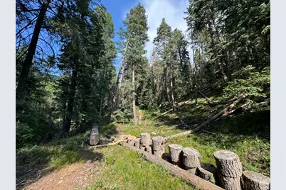 [Address not provided], Mount Pleasant, UT 84647 - Photo 9