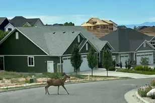 1237 E Amaryllis Wy, Layton, UT 84040 - Photo 27