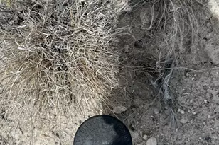 1 Emigrant Trl Rd, Park Valley, UT 84329 - Photo 37