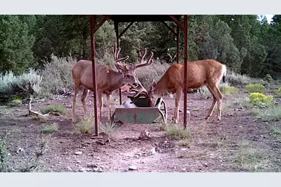 1955 W Mammoth Creek Rd, Hatch, UT 84735 - Photo 35