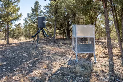 1955 W Mammoth Creek Rd, Hatch, UT 84735 - Photo 21