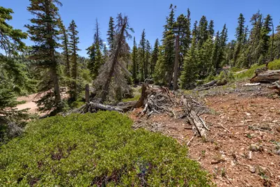 5150 W North Rd, Duck Creek Village, UT 84762 - Photo 13