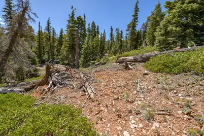 5150 W North Rd, Duck Creek Village, UT 84762 - Photo 15