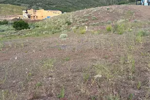 3923 E Harris Wy, Heber City, UT 84036 - Photo 13