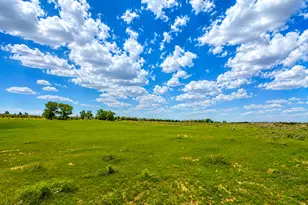 1745 N 11000 W, Bluebell, UT 84007 - Photo 11