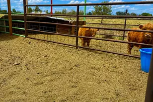 1745 N 11000 W, Bluebell, UT 84007 - Photo 13