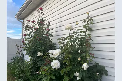 501 W 670 N, Tooele, UT 84074 - Photo 15