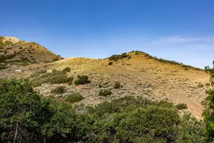 14794 S Vintage View Ln, Draper, UT 84020 - Photo 69