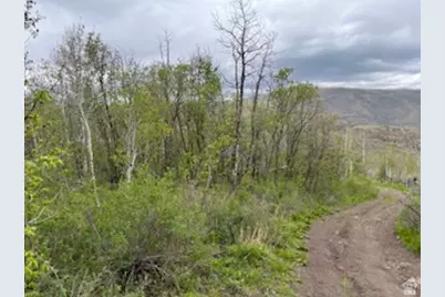 144 Bear Tooth Rdg, Coalville, UT 84017 - Photo 5