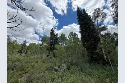 5451 E Targhee Dr #335, Oakley, UT 84055 - Photo 9