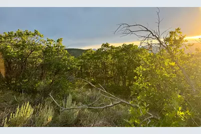 1556 S Tree Top Ln #353, Heber City, UT 84032 - Photo 5