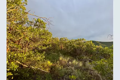 1556 S Tree Top Ln #353, Heber City, UT 84032 - Photo 9