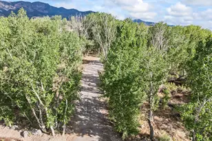 460 E Landslide Rd S, Central Valley, UT 84754 - Photo 3