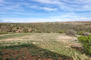 1251 S Eastland Rd, Monticello, UT 84535 - Photo 39