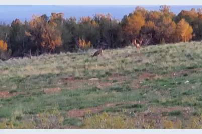 1251 S Eastland Rd, Monticello, UT 84535 - Photo 65
