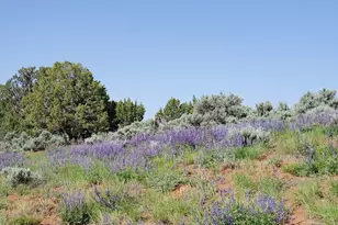 1251 S Eastland Rd, Monticello, UT 84535 - Photo 63