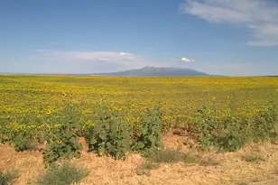 1251 S Eastland Rd, Monticello, UT 84535 - Photo 59