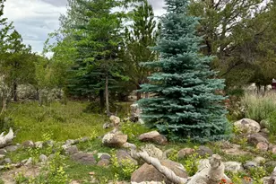 802 S 810 E, Grover, UT 84773 - Photo 45