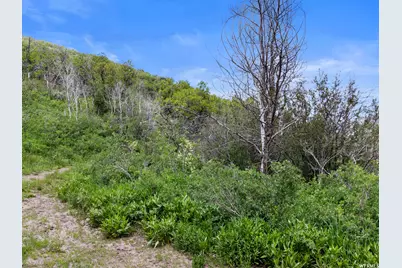 4891 S Woodland Way, Kamas, UT 84036 - Photo 5