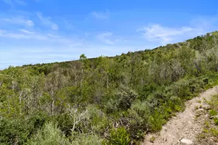 4891 S Woodland Wy, Kamas, UT 84036 - Photo 1