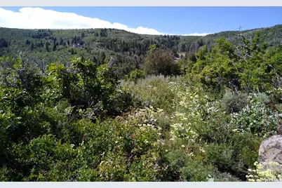 4891 S Woodland Way, Kamas, UT 84036 - Photo 3